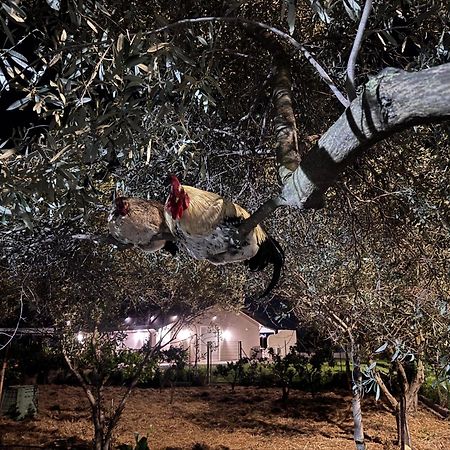 فندق Le Potager كوارتو سانتيلينا المظهر الخارجي الصورة