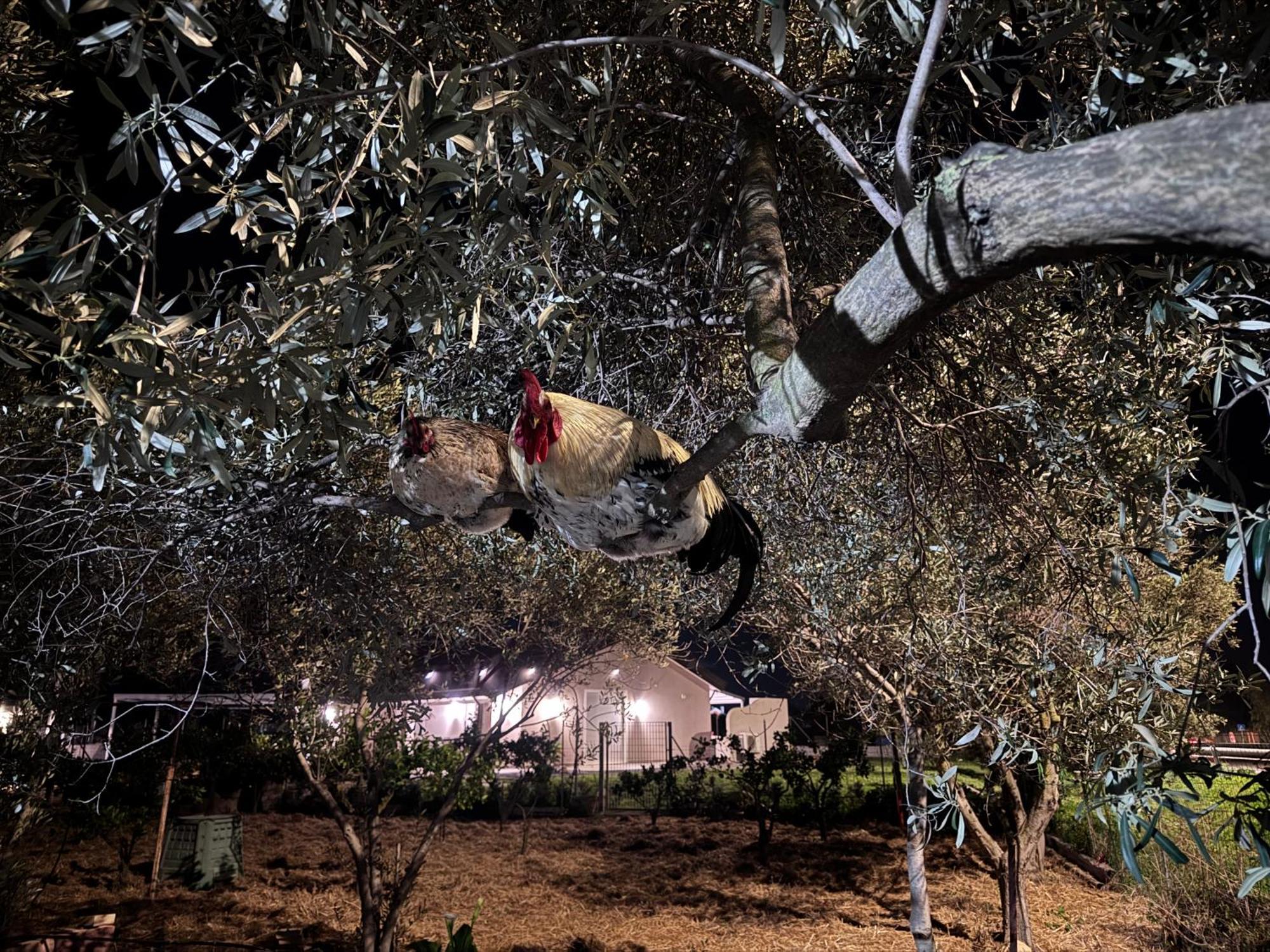 فندق Le Potager كوارتو سانتيلينا المظهر الخارجي الصورة